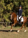 DSC05428 DSC05428