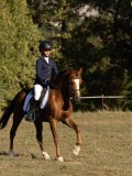 DSC05429 DSC05429