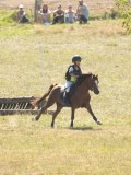 DSC06580 DSC06580