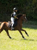 DSC06584 DSC06584