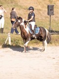 DSC02969 DSC02969