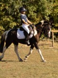 DSC05134 DSC05134
