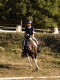 DSC05138 DSC05138