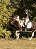 DSC05140 DSC05140