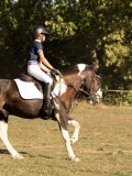 DSC05142 DSC05142