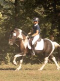 DSC05144 DSC05144