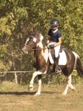 DSC05145 DSC05145