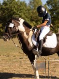 DSC05149 DSC05149