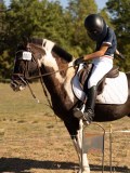 DSC05150 DSC05150