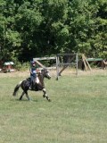 DSC_5616 DSC_5616