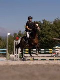 DSC04439 DSC04439