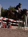 DSC04441 DSC04441
