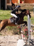 DSC04442 DSC04442