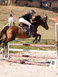 DSC04443 DSC04443