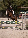DSC04444 DSC04444