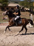 DSC04445 DSC04445