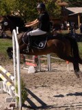 DSC04446 DSC04446