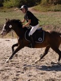 DSC04453 DSC04453
