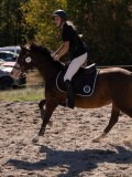 DSC04454 DSC04454