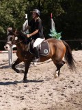 DSC04455 DSC04455