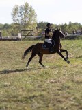 DSC05266 DSC05266