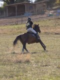 DSC05269 DSC05269