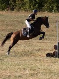 DSC05274 DSC05274