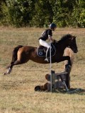 DSC05275 DSC05275