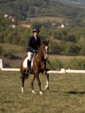 DSC05465 DSC05465