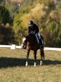 DSC05484 DSC05484