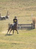 DSC06919 DSC06919