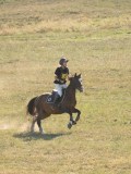 DSC06920 DSC06920