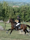 DSC_6198 DSC_6198
