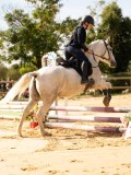 DSC08354 DSC08354