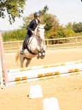 DSC08355 DSC08355