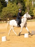 DSC08359 DSC08359