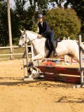 DSC08365 DSC08365