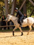 DSC08369 DSC08369