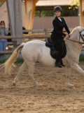 DSC07697 DSC07697