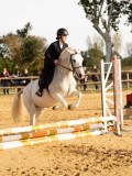 DSC07699 DSC07699