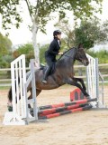 DSC07259 DSC07259