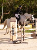 DSC00348 DSC00348