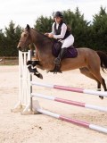 DSC00138 DSC00138