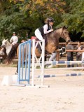 DSC00142 DSC00142