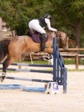DSC00144 DSC00144