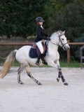 DSC05768 DSC05768