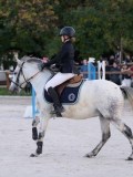 DSC05774 DSC05774