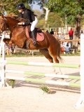 DSC00284 DSC00284