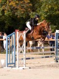 DSC00286 DSC00286