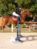 DSC00287 DSC00287